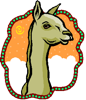 llama